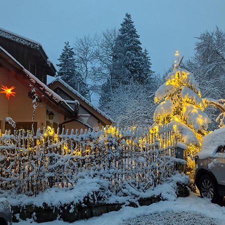 Gemuetliche Waldrandlage In Badenweiler Sehringen Ferienwohnung Bagian luar foto