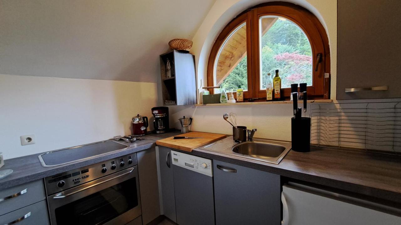 Gemuetliche Waldrandlage In Badenweiler Sehringen Ferienwohnung Bagian luar foto