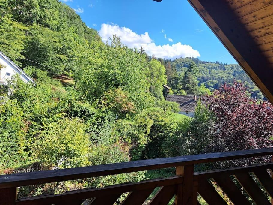 Gemuetliche Waldrandlage In Badenweiler Sehringen Ferienwohnung Bagian luar foto