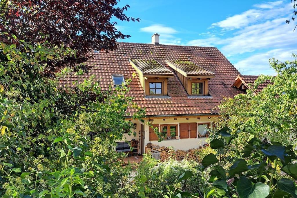 Gemuetliche Waldrandlage In Badenweiler Sehringen Ferienwohnung Bagian luar foto