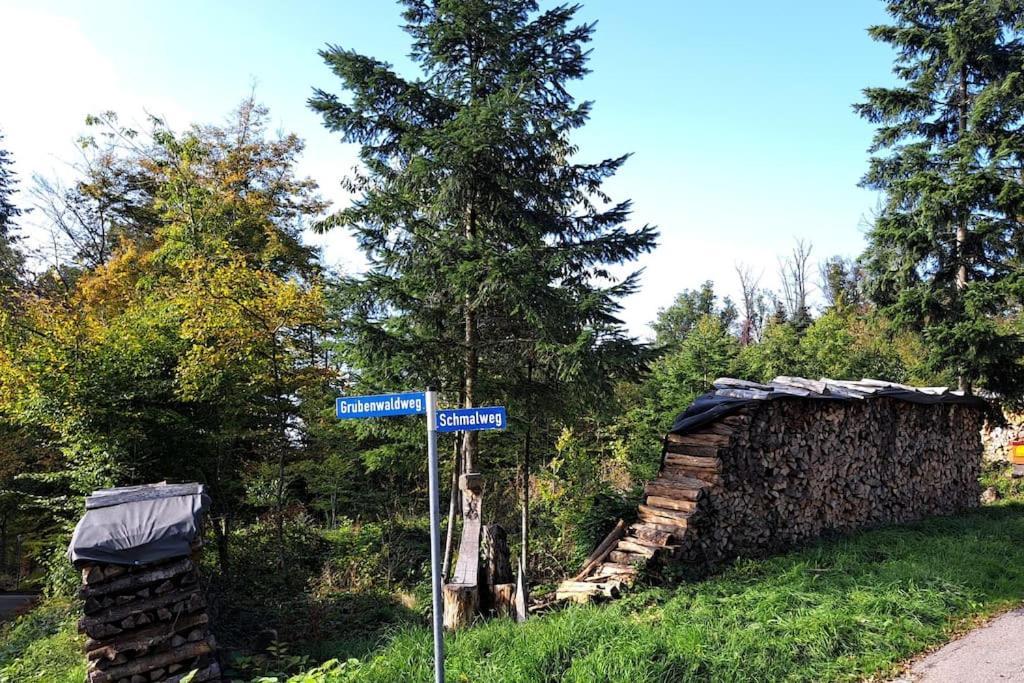 Gemuetliche Waldrandlage In Badenweiler Sehringen Ferienwohnung Bagian luar foto