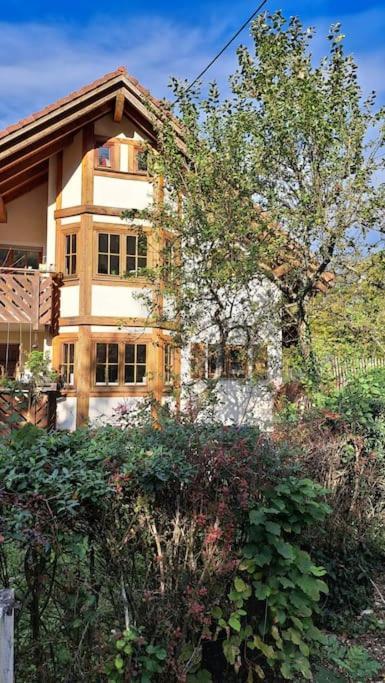 Gemuetliche Waldrandlage In Badenweiler Sehringen Ferienwohnung Bagian luar foto