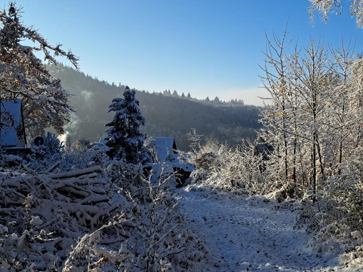 Gemuetliche Waldrandlage In Badenweiler Sehringen Ferienwohnung Bagian luar foto