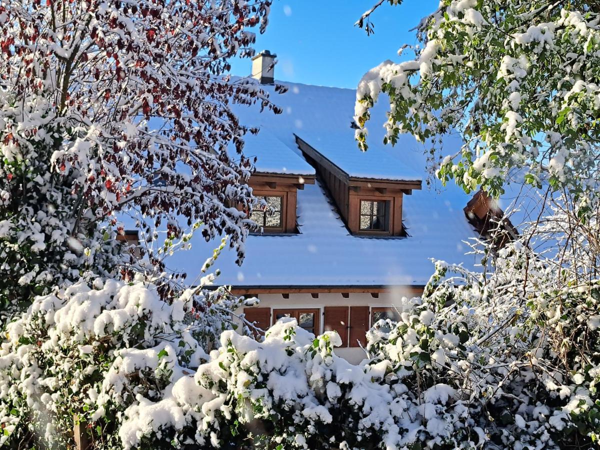Gemuetliche Waldrandlage In Badenweiler Sehringen Ferienwohnung Bagian luar foto