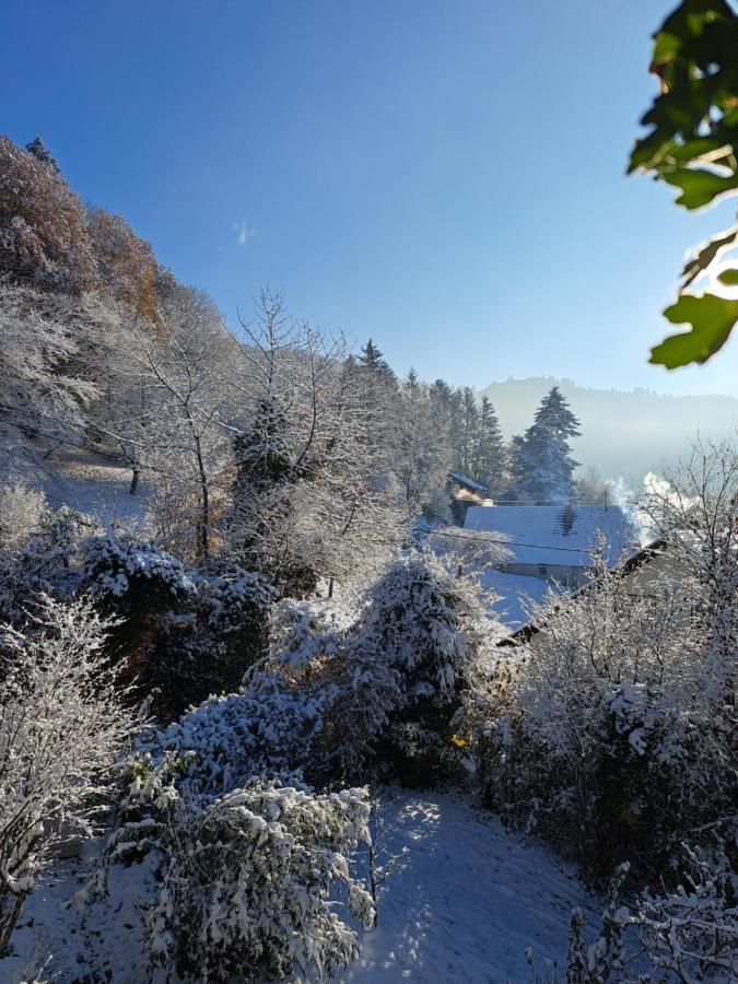 Gemuetliche Waldrandlage In Badenweiler Sehringen Ferienwohnung Bagian luar foto
