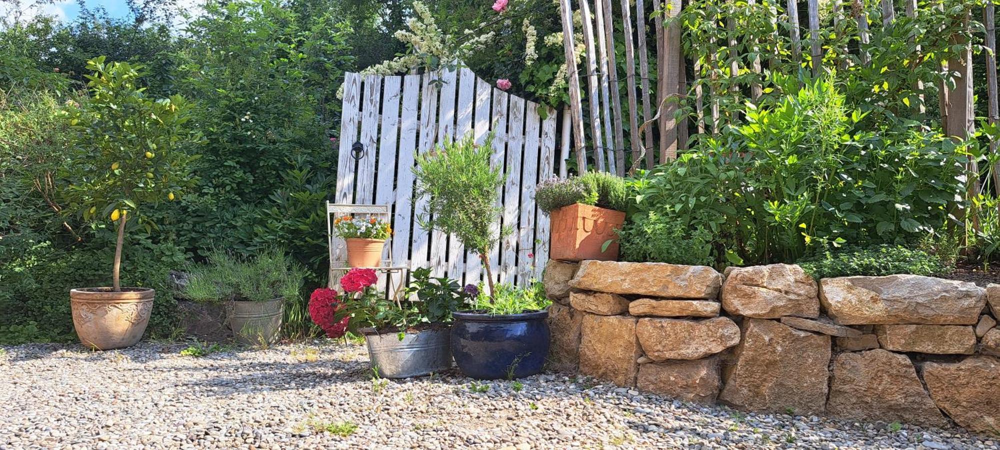 Gemuetliche Waldrandlage In Badenweiler Sehringen Ferienwohnung Bagian luar foto